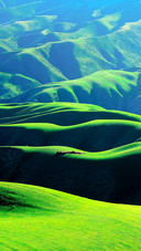 Kalajun Human Grassland in Ili, Xinjiang, China