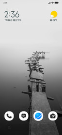 Silent Duck