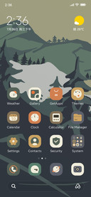 Forest Mountain 
