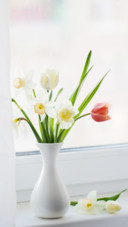 Flower (6)