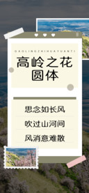 高岭之花圆体