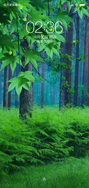 动态 护眼森林