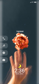 Rosse_Two