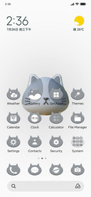 star cat