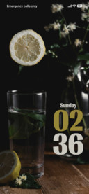 Sliced Lemon