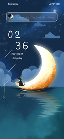 Starry sky kitty