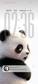 Panda Animation