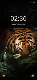 Dark forest tiger