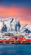 Colorful Houses on the Shore of Norwegian Sea