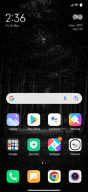 Forest Darkness