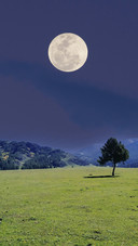 Scenery   (8)