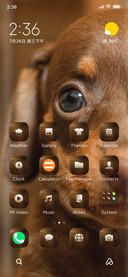 Cute_Pups_Four