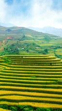 Beautiful Terraces
