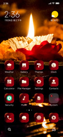 Navratri_flower