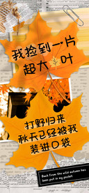 我捡到一片超大枫叶
