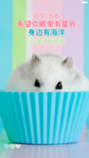 肥嘟嘟的小仓鼠