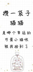 攒一袋子猫猫
