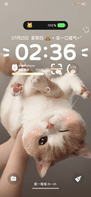 倒立橘味小猫