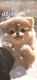 Smiling puppy