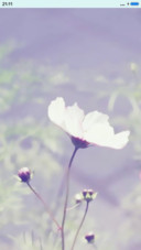 花清新