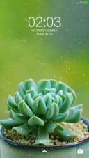 多肉雨露