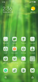 Zen+green+bamboo