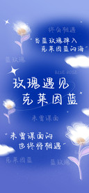 玫瑰遇见克莱因蓝