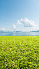 The lakeside fog island is serene and soothing