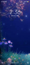 夏夜