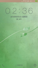 爱上绿玫瑰