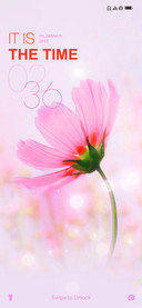 flor rosa M14