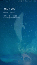 鲸