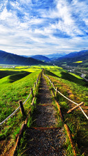 The road to spring