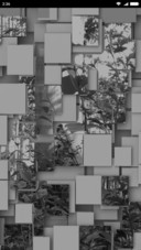 Gray Forest Tiles tt