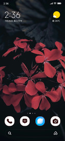 Crimson Charm