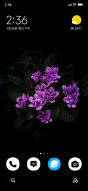 Violet Whisper