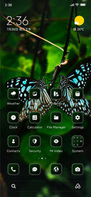 Butterfly