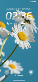ins简约花语