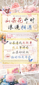 山茶花开时浪漫相遇