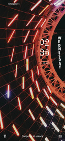 Ferris Wheel_Fran