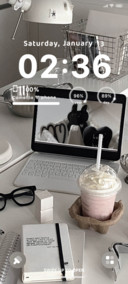 Inswind desk daily