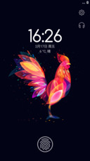 炫光科鸡