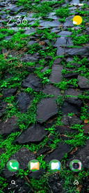 Grassyrock_DWM2