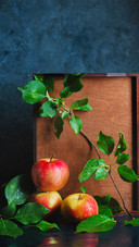 Apple 96