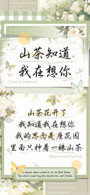 山茶知道我在想你
