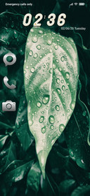After Rain