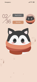 Pet ball