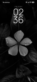 Bloom Mist