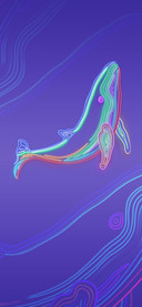 鲸歌
