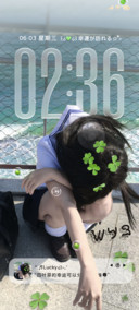 氛围 夏与幸运草
